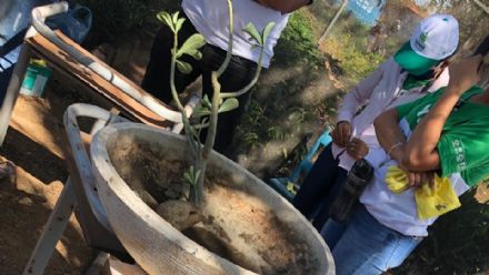 Curso de Jardinagem - Senar MT