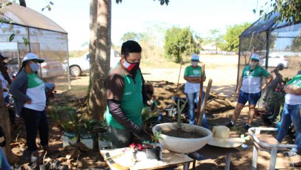 Curso de Jardinagem - Senar MT