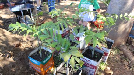 Curso de Jardinagem - Senar MT