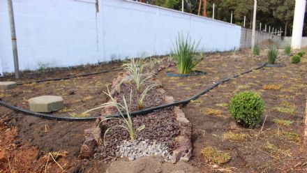 Curso de Jardinagem - Senar MT