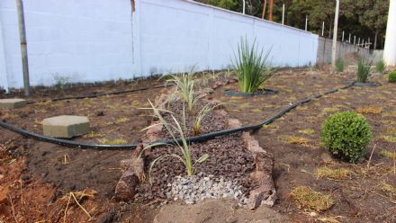 Curso de Jardinagem - Senar MT