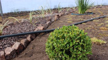 Curso de Jardinagem - Senar MT