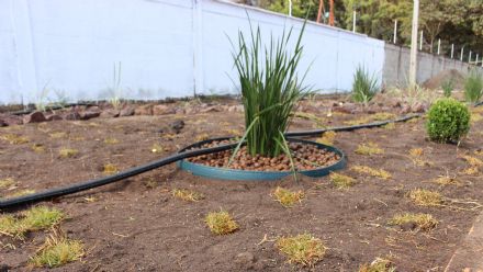 Curso de Jardinagem - Senar MT