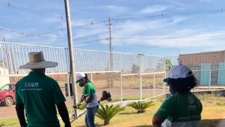 Curso de Jardinagem - Senar MT