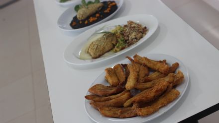 Curso de Derivados de Pescados