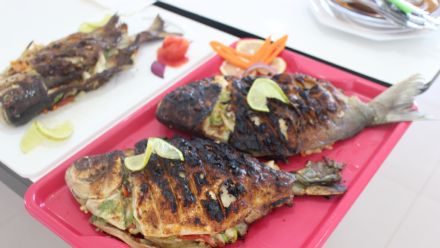 Curso de Derivados de Pescados