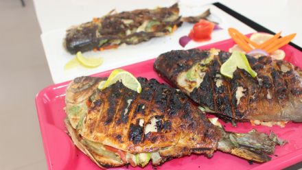 Curso de Derivados de Pescados