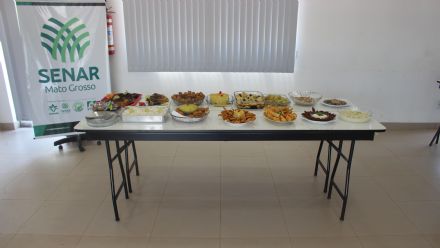 Curso de Derivados de Pescados