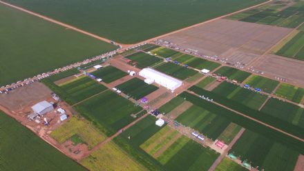 8� Soja In T�cnica