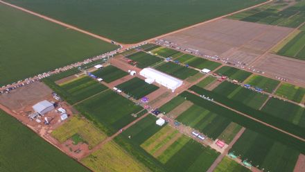 8� Soja In T�cnica