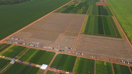 8� Soja In T�cnica