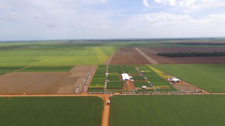 8� Soja In T�cnica