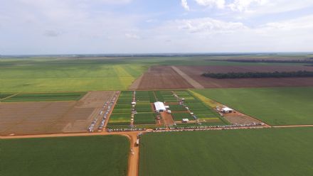 8� Soja In T�cnica