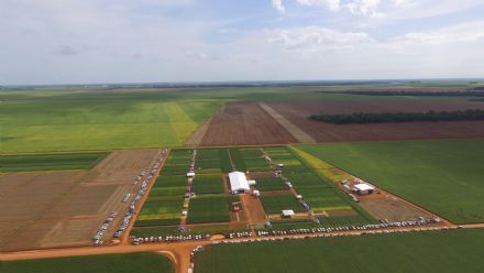 8� Soja In T�cnica