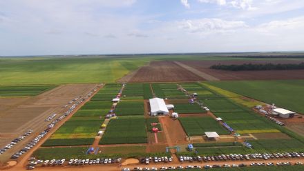 8� Soja In T�cnica