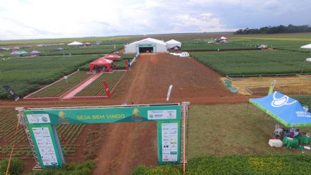 8� Soja In T�cnica