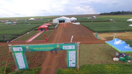 8� Soja In T�cnica