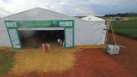 8� Soja In T�cnica