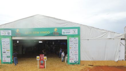 8� Soja In T�cnica