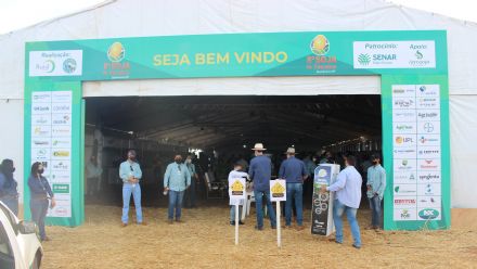 8� Soja In T�cnica