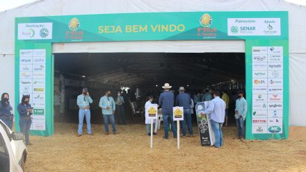 8� Soja In T�cnica