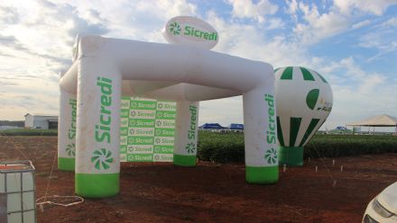 8� Soja In T�cnica