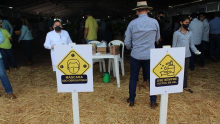 8� Soja In T�cnica