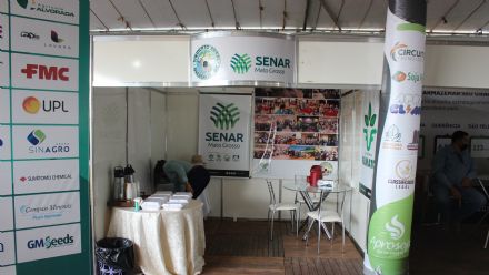 8� Soja In T�cnica