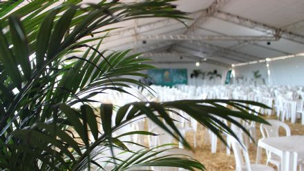 8� Soja In T�cnica