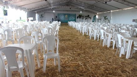 8� Soja In T�cnica