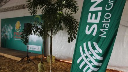 8� Soja In T�cnica