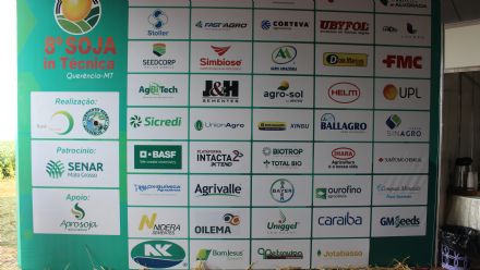 8� Soja In T�cnica