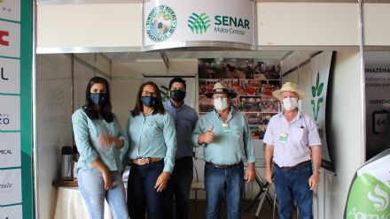 8� Soja In T�cnica