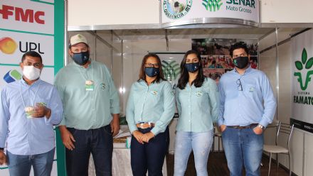 8� Soja In T�cnica