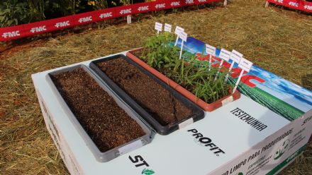 8� Soja In T�cnica