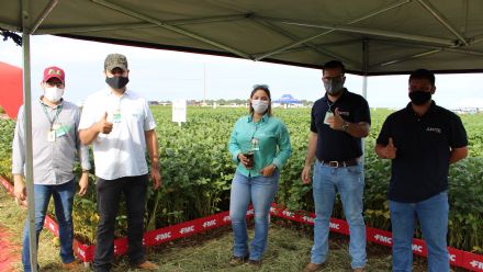 8� Soja In T�cnica