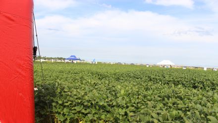 8� Soja In T�cnica