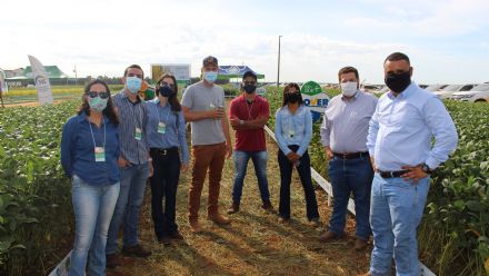 8� Soja In T�cnica