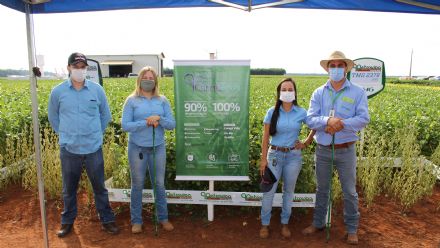 8� Soja In T�cnica