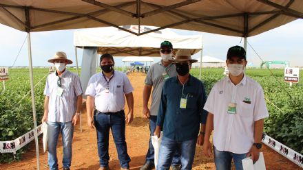 8� Soja In T�cnica