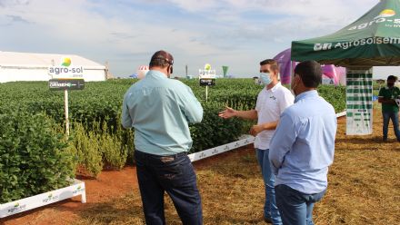 8� Soja In T�cnica