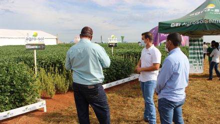 8� Soja In T�cnica