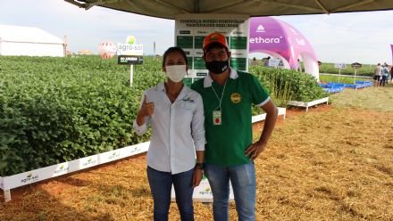 8� Soja In T�cnica