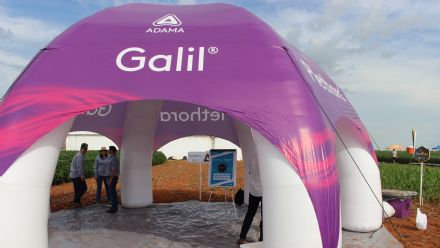 8� Soja In T�cnica