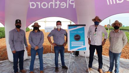 8� Soja In T�cnica