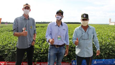 8� Soja In T�cnica