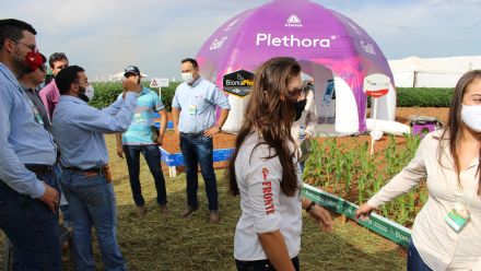 8� Soja In T�cnica