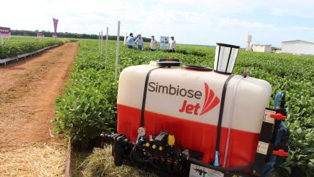 8� Soja In T�cnica