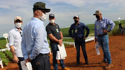 8� Soja In T�cnica