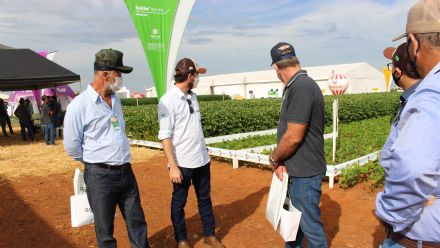 8� Soja In T�cnica